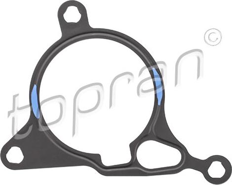 Topran 115 262 - Garnitura, pompa vacuum aaoparts.ro