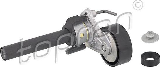Topran 113 196 - Intinzator curea, curea distributie aaoparts.ro