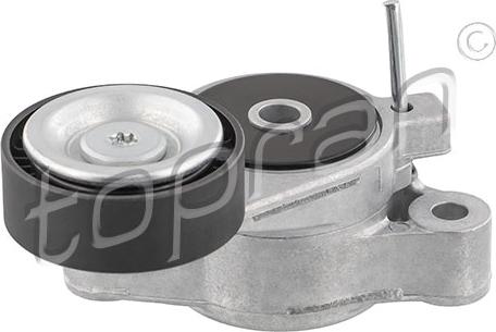 Topran 113 190 - Intinzator curea, curea distributie aaoparts.ro