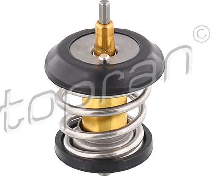 Topran 113 297 - Termostat,lichid racire aaoparts.ro