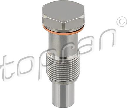 Topran 117 284 - Intinzator,lant distributie aaoparts.ro