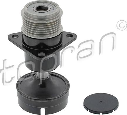 Topran 304 095 - Fulie, alternator aaoparts.ro