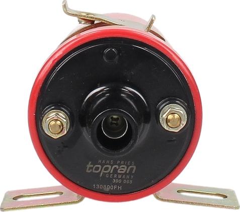 Topran 300 065 - Bobina de inductie aaoparts.ro