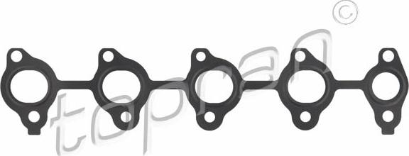 Topran 301 861 - Garnitura, galerie evacuare aaoparts.ro