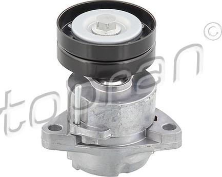 Topran 205 736 - Rola ghidare / conducere, curea transmisie aaoparts.ro