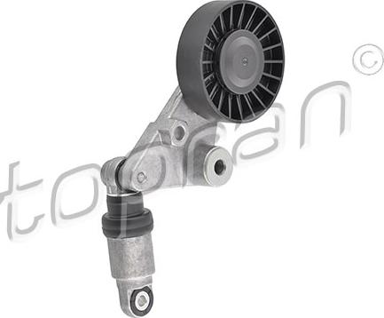 Topran 205 733 - Rola ghidare / conducere, curea transmisie aaoparts.ro