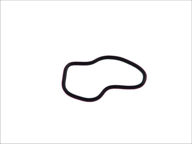 Topran 206 527 - Garnitura,aerisire bloc motor aaoparts.ro