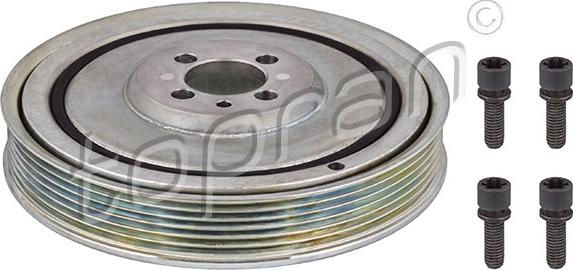 Topran 207 343 - Fulie curea, arbore cotit aaoparts.ro