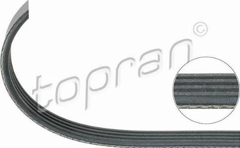Topran 701 896 - Curea transmisie cu caneluri aaoparts.ro