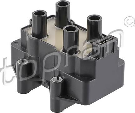 Topran 720 313 - Bobina de inductie aaoparts.ro