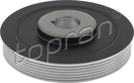 Topran 721 975 - Fulie curea, arbore cotit aaoparts.ro