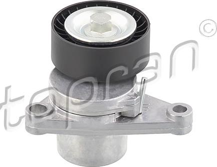 Topran 722 324 - Intinzator curea, curea distributie aaoparts.ro