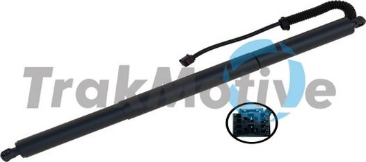 TrakMotive 60-0013 - Motor electric, haion aaoparts.ro