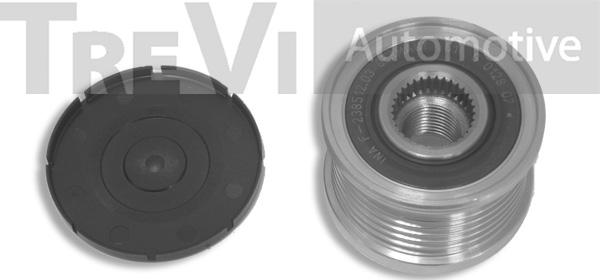 Trevi Automotive AP1114 - Fulie, alternator aaoparts.ro