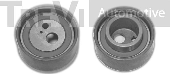 Trevi Automotive TD1350 - Rola intinzator,curea distributie aaoparts.ro