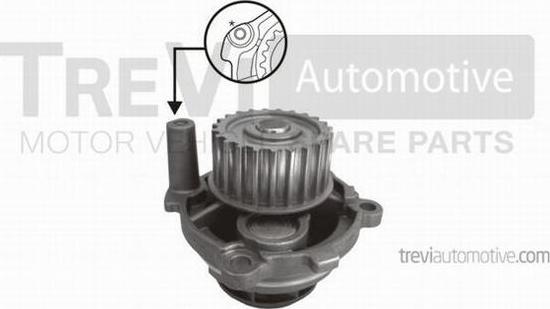 Trevi Automotive TP1004 - Pompa apa aaoparts.ro