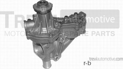 Trevi Automotive TP1205 - Pompa apa aaoparts.ro