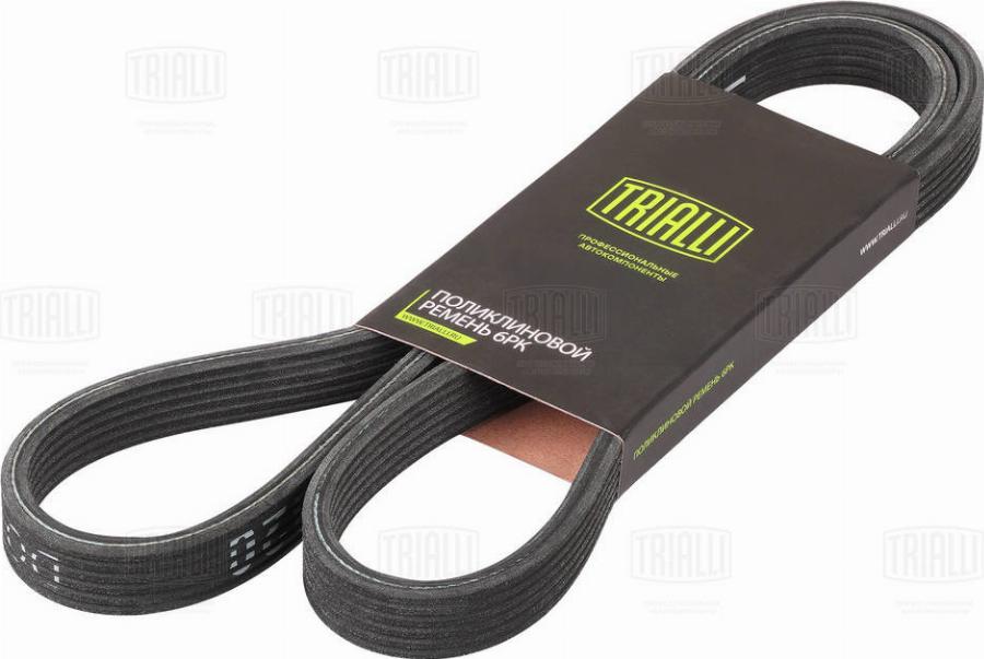 Trialli 6DPK1320 - Curea transmisie cu caneluri aaoparts.ro