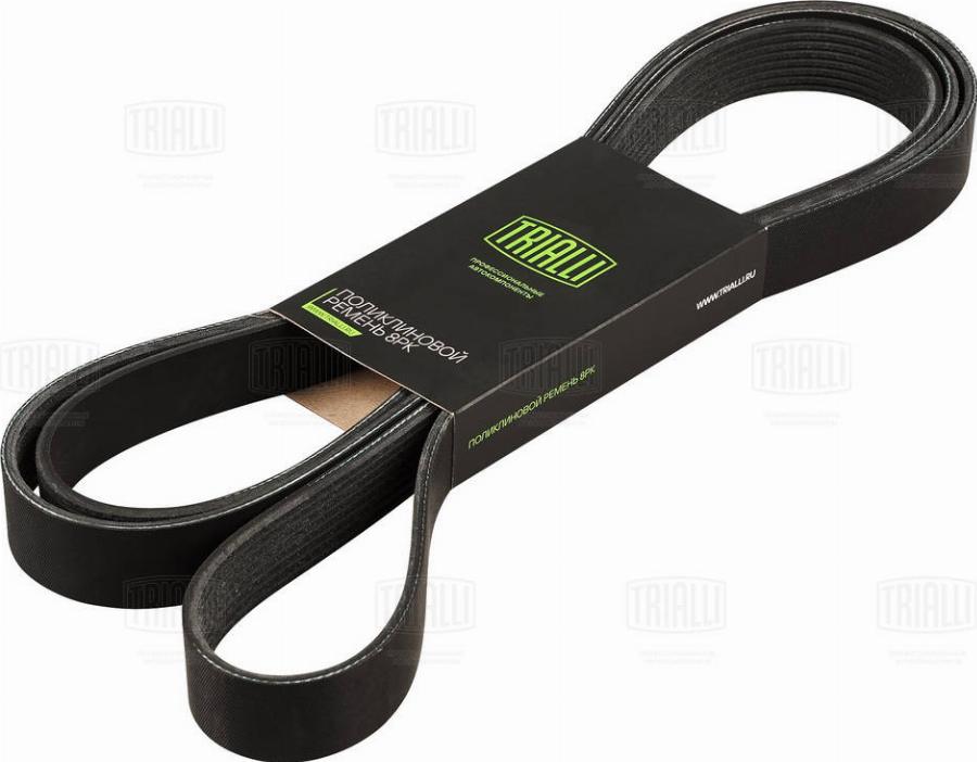 Trialli 8PK2585 - Curea transmisie cu caneluri aaoparts.ro