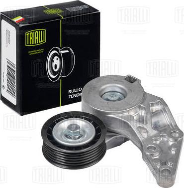 Trialli CM 5339 - Rola ghidare / conducere, curea transmisie aaoparts.ro