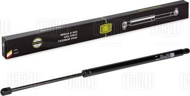 Trialli GS 2002 - Amortizor portbagaj aaoparts.ro