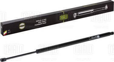 Trialli GS 2011 - Amortizor portbagaj aaoparts.ro