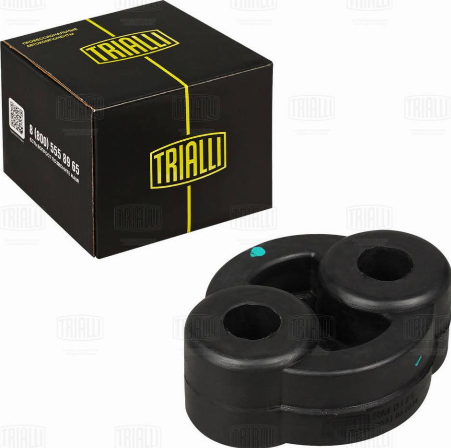 Trialli RM 0171 - Suport, toba esapament aaoparts.ro