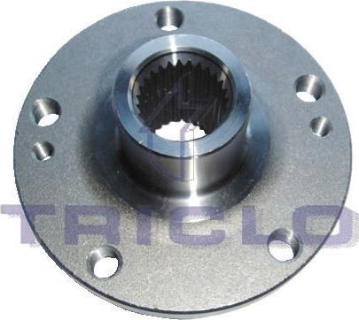 Triclo 905810 - Butuc roata aaoparts.ro