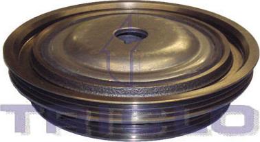 Triclo 425021 - Fulie curea, arbore cotit aaoparts.ro