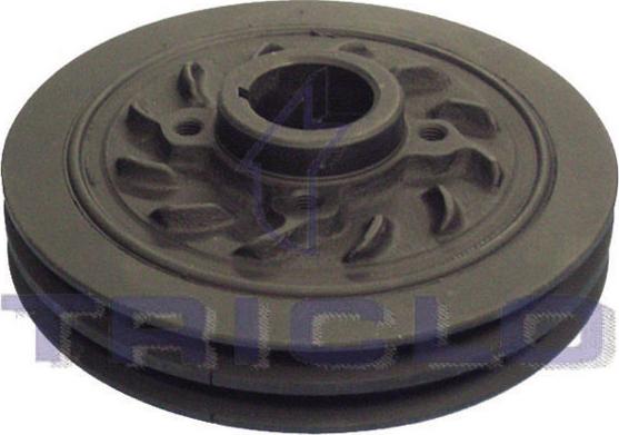 Triclo 426000 - Fulie curea, arbore cotit aaoparts.ro