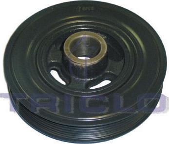 Triclo 428495 - Fulie curea, arbore cotit aaoparts.ro