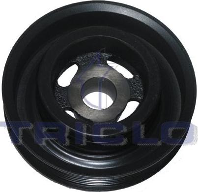 Triclo 428254 - Fulie curea, arbore cotit aaoparts.ro