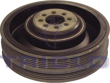 Triclo 423308 - Fulie curea, arbore cotit aaoparts.ro