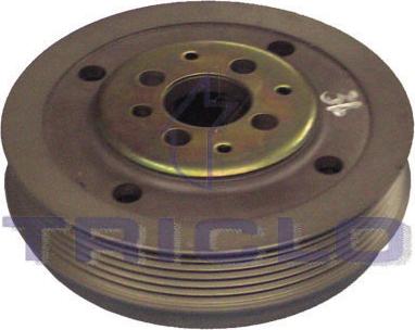 Triclo 423307 - Fulie curea, arbore cotit aaoparts.ro