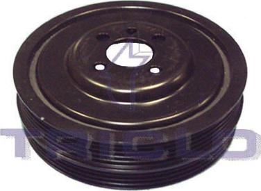 Triclo 423311 - Fulie curea, arbore cotit aaoparts.ro