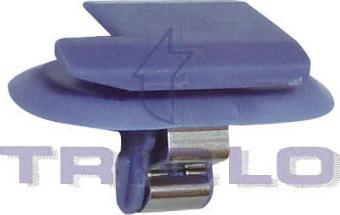 Triclo 163876 - Clips, acoperire decorativa si protectie aaoparts.ro