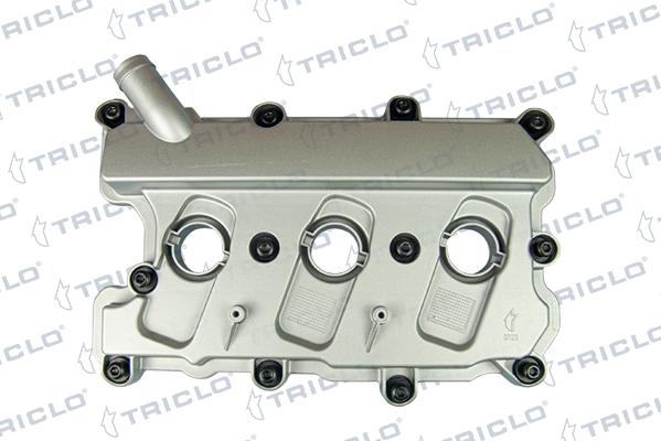 Triclo 392070 - Capac culbutor aaoparts.ro