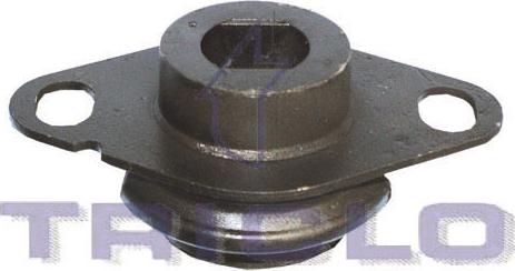 Triclo 365357 - Suport motor aaoparts.ro