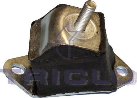 Triclo 365366 - Suport motor aaoparts.ro