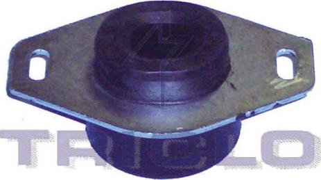 Triclo 361621 - Suport motor aaoparts.ro