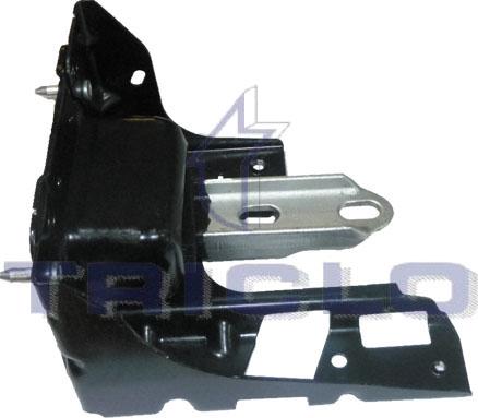 Triclo 361036 - Suport motor aaoparts.ro