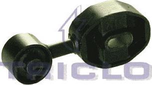 Triclo 368661 - Suport motor aaoparts.ro