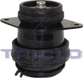 Triclo 363987 - Suport motor aaoparts.ro