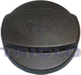 Triclo 313197 - Buson,umplere ulei aaoparts.ro