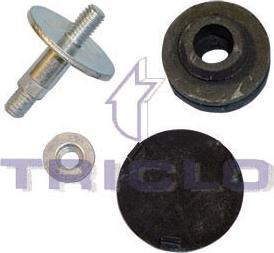 Triclo 312144 - Set surub, chiulasa aaoparts.ro