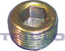 Triclo 324244 - Surub de golire,baia de ulei aaoparts.ro