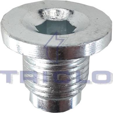 Triclo 320362 - Surub de golire,baia de ulei aaoparts.ro