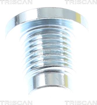 Triscan 9500 5001 - Surub de golire,baia de ulei aaoparts.ro