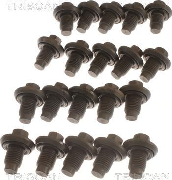 Triscan 9500 1009-20 - Surub de golire,baia de ulei aaoparts.ro