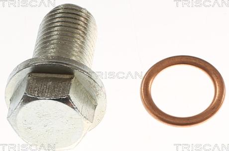 Triscan 9500 1025 - Surub de golire,baia de ulei aaoparts.ro
